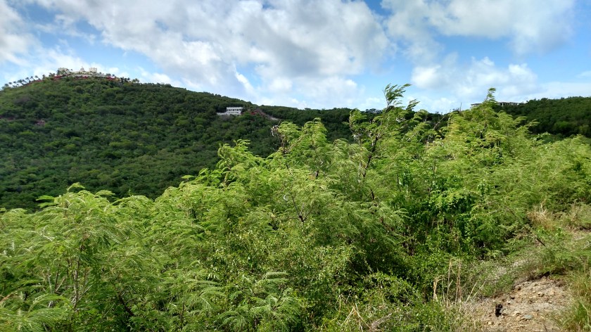 IMG_20190525_101317595_HDR