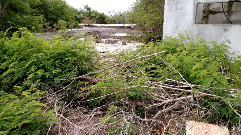 IMG_20190525_101951811