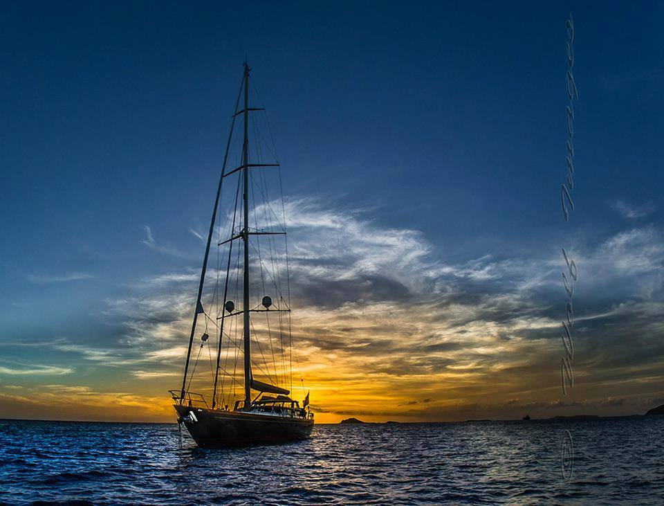 11182328_10204552106066037_6649222015563698392_n