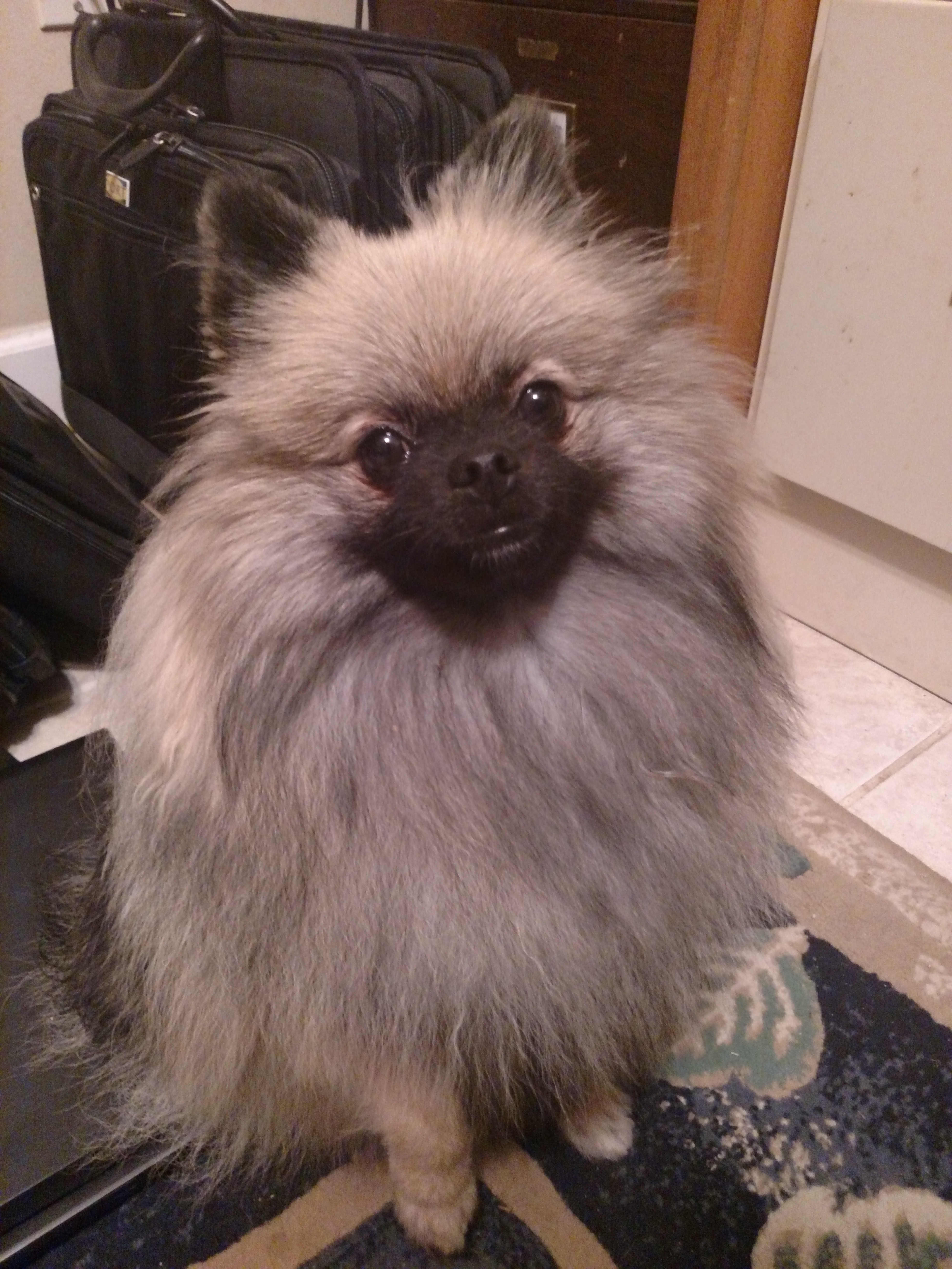 IMG_20181031_082405508